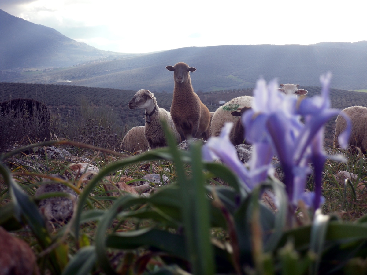 adda8d05dc5ff145243bf98d14d98839