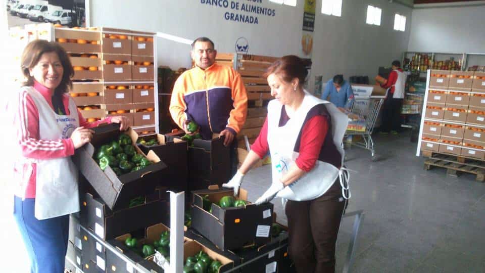 Voluntarios Del Banco De Alimentos Del Poniente En La Nave De La Ong En El Frontil.