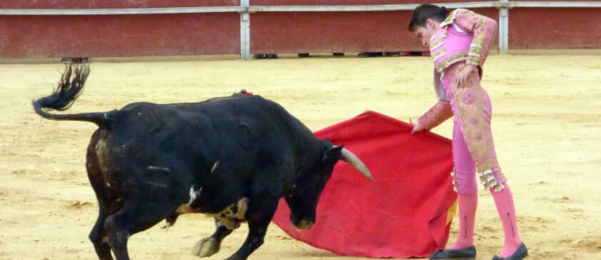Cristian Guerrero Durante Su Actuación En Loja. Foto: Paco Castillo