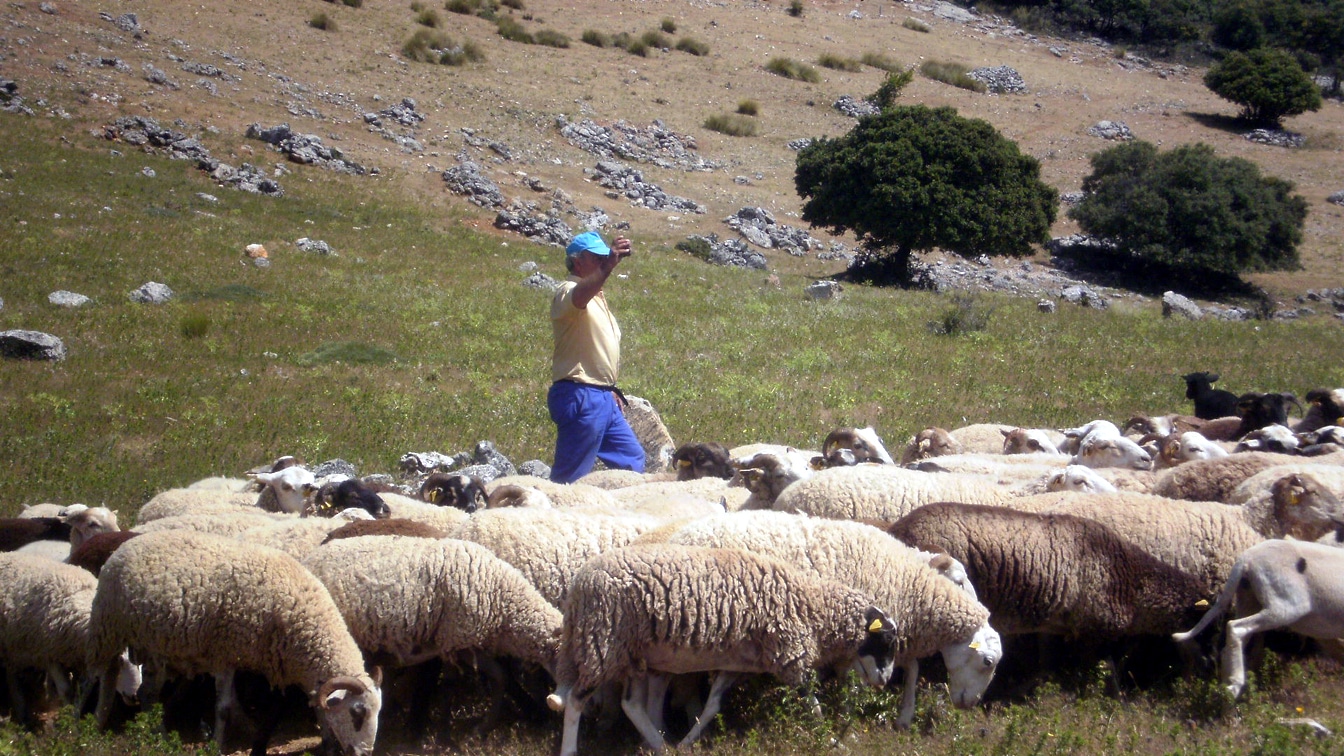 6a0028b9157ed1c677d621b6011d00b8