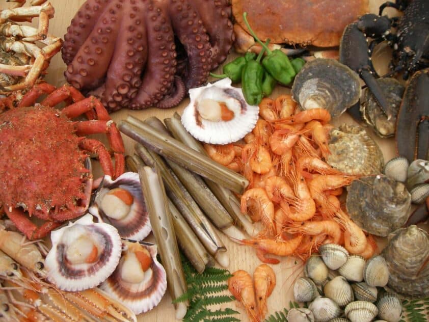 Algunos De Los Apetitosos Productos De La Mar Que Se Ofrecerán Durante Las Jornadas.