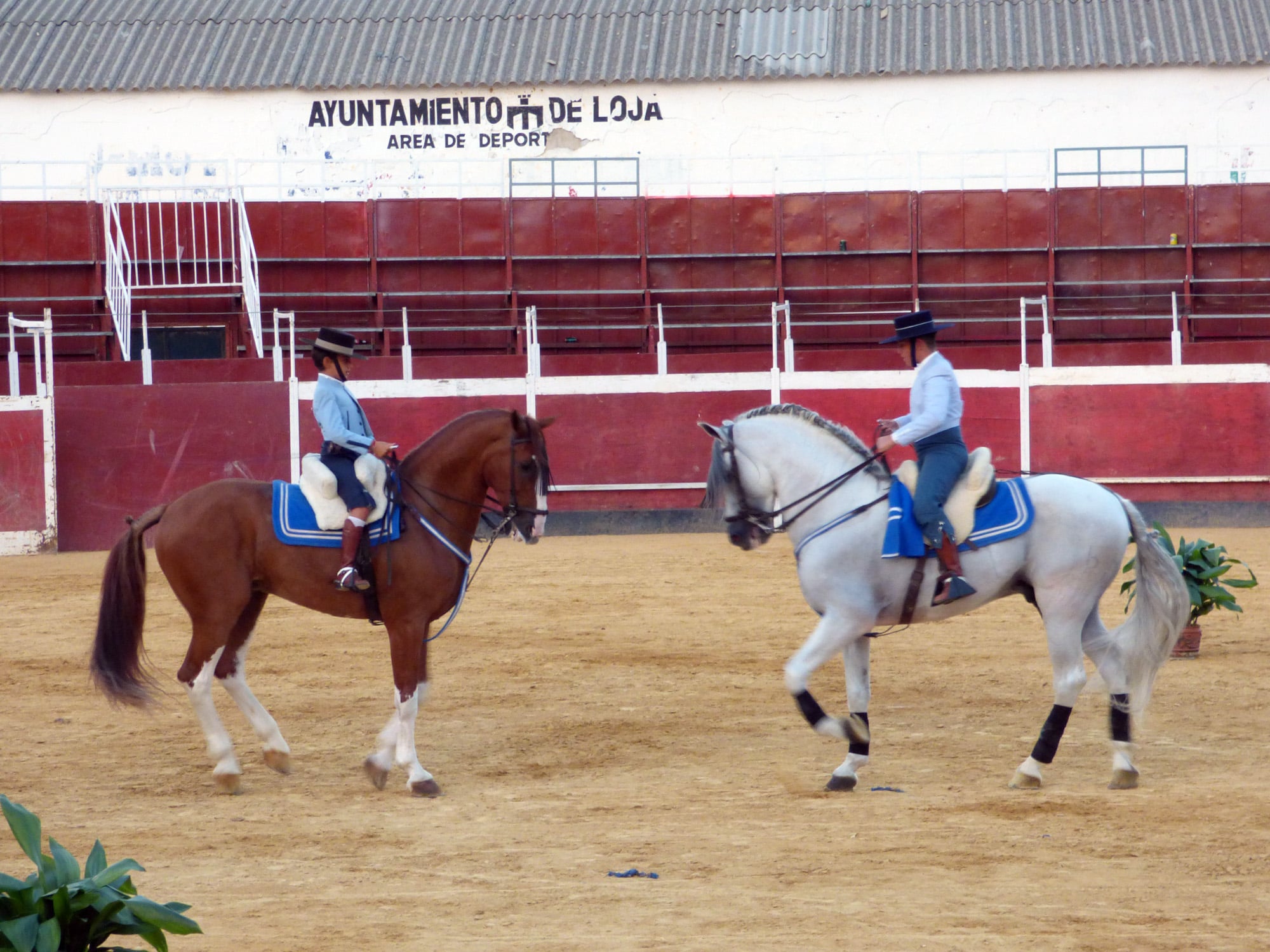Una De Las Exhibiciones Realizadas Durante El Espectáculo Ecuestre. Foto: Paco Castillo