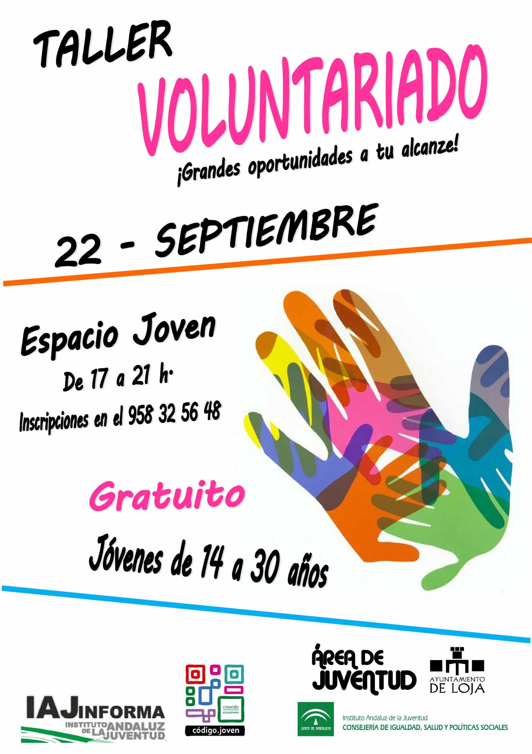 Taller De Voluntariado
