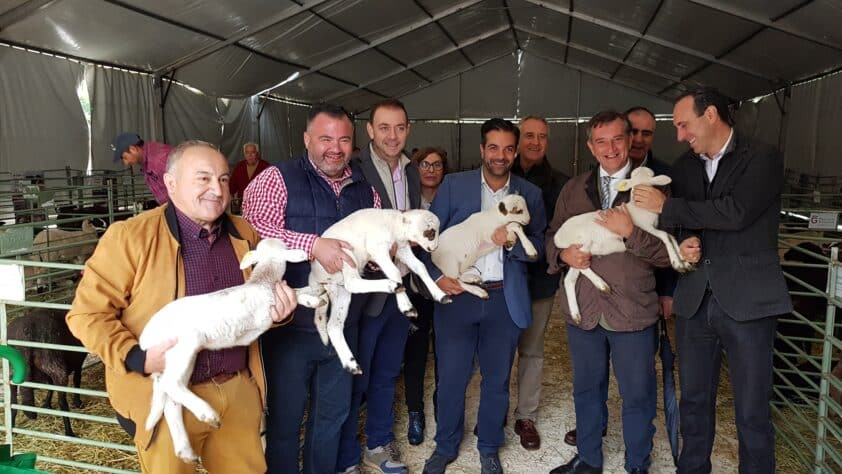 Las Autoridades Y El Presidente De Los Ganaderos Lojeños Sostienen Ejemplares De Corderos. J.Á.