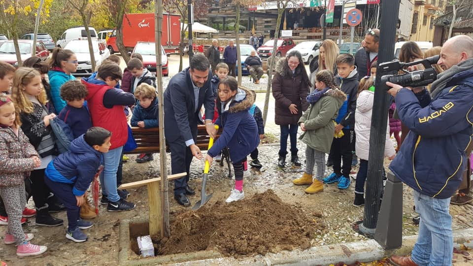Un árbol En Memoria De Las Víctimas Muestra El Rechazo Contra La Violencia De Género