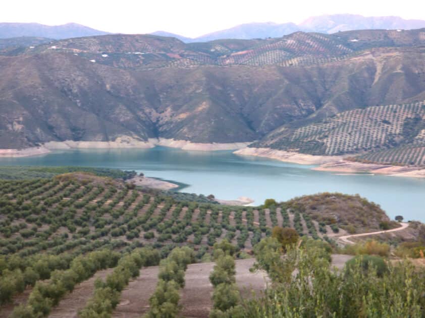 El Pantano De Iznájar Visto Desde La Pedanía Lojeña De Ventorros De Balerma. Foto: E. C.