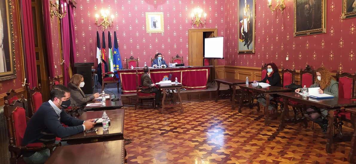 El Pleno De Noviembre Se Desarrolló De Forma Semipresencial. Foto: P. Castillo