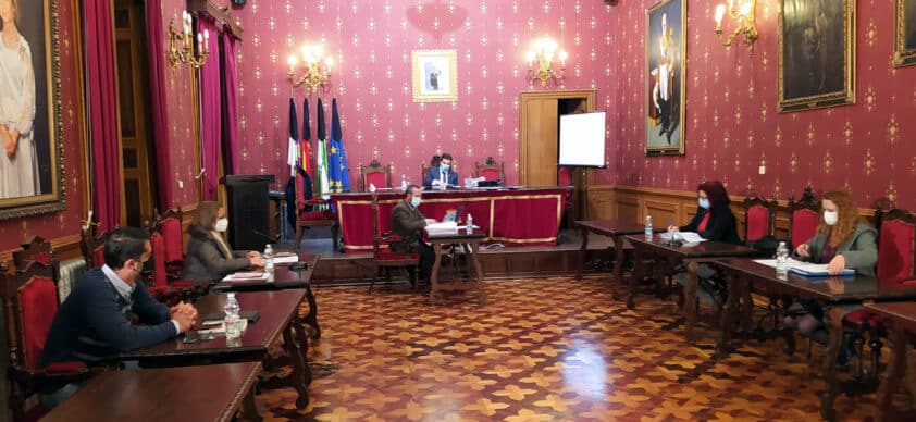 La Sesión Plenaria De Noviembre Se Hizo De Forma Semipresencial. Foto: Paco Castillo.