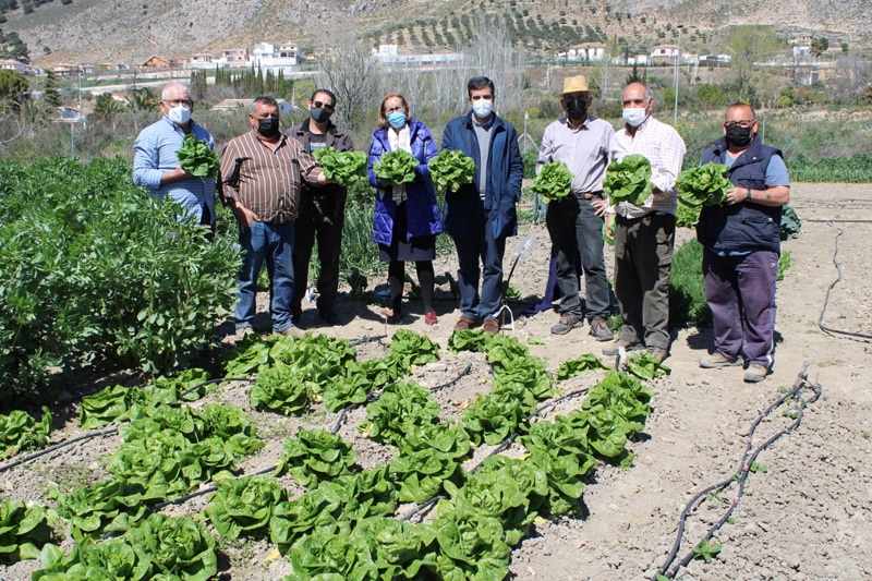 Visita A Los Huertos Sociales Por Parte Del Alcalde Y La Concejala De Bienestar Social