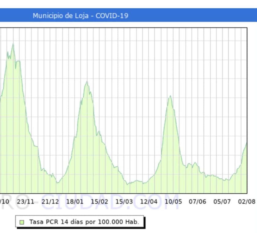 Gráfica De La Incidencia Del Coronarivus Hoy En Loja. Foto: F. Ciudad