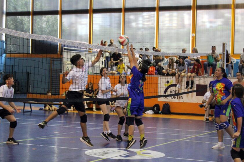 Un Momento Del Torneo De Vóley Celebrado El Domingo En El Pabellón Alfeia. Foto: P. Castillo