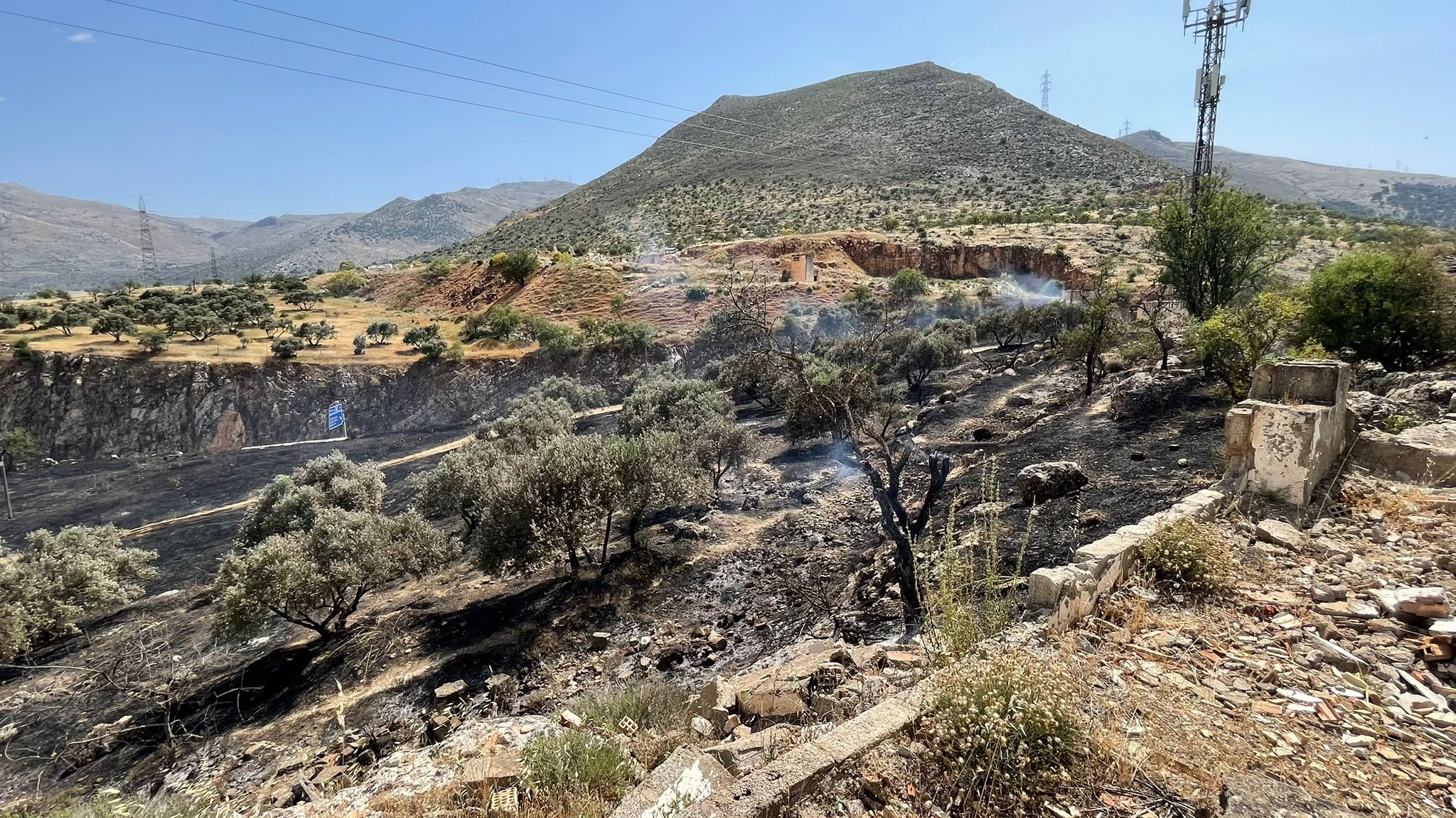 Whatsapp Image 2025 05 31 At 19.15.07