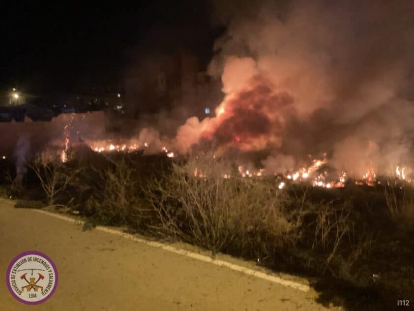 78043ca6 Afec 4b7b 9781 8a937663025f