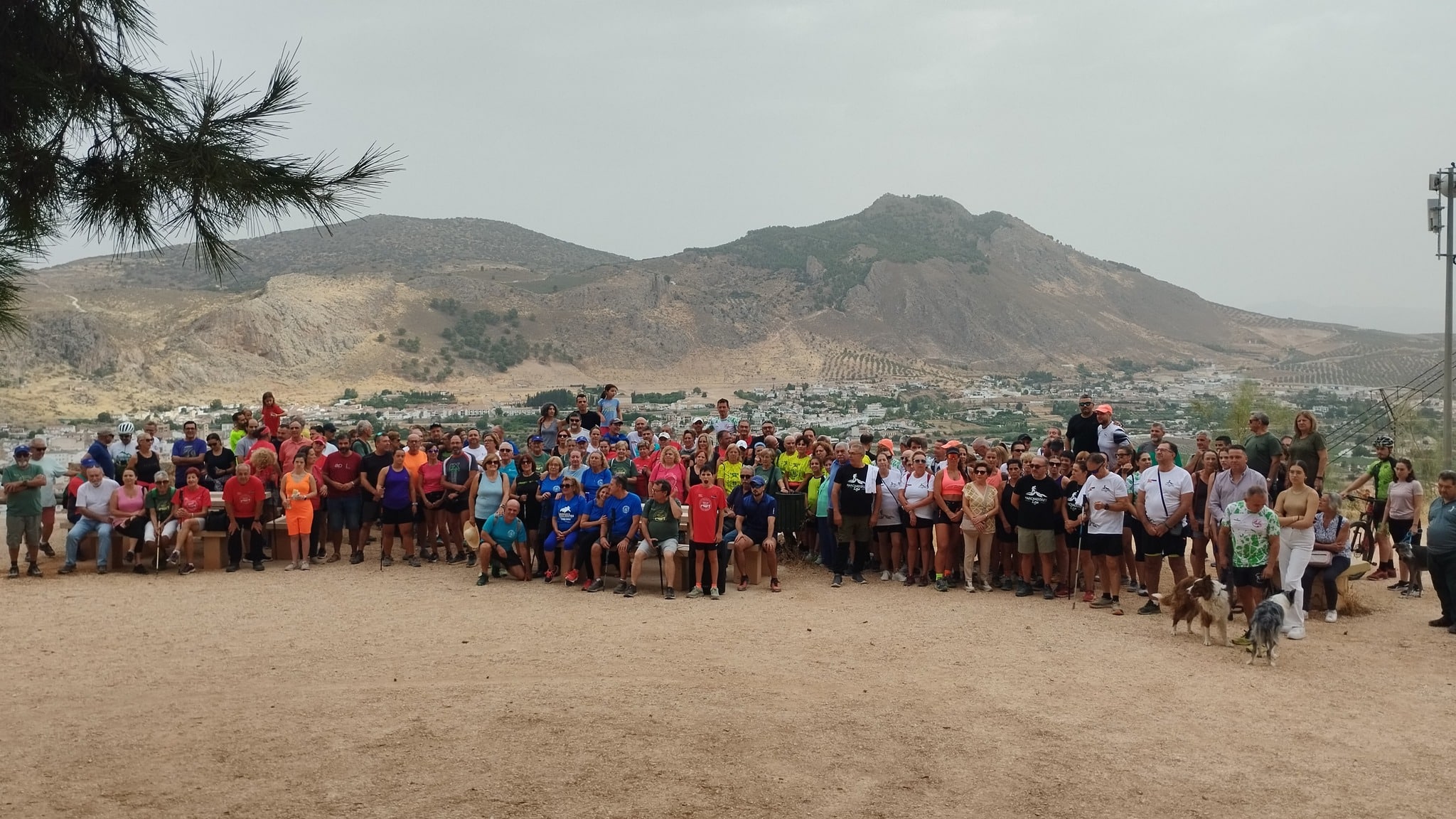 543096220 1399693615491888 3499885608433412112 N