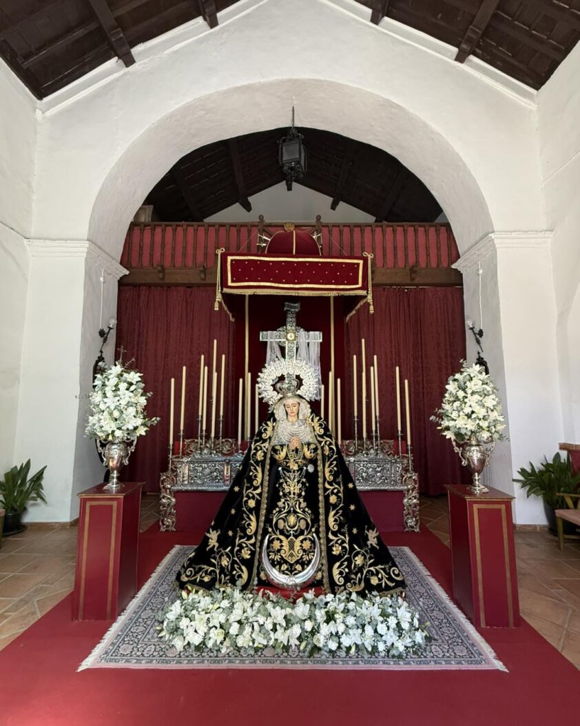 547268449 1234125382087867 1534698527466977856 N