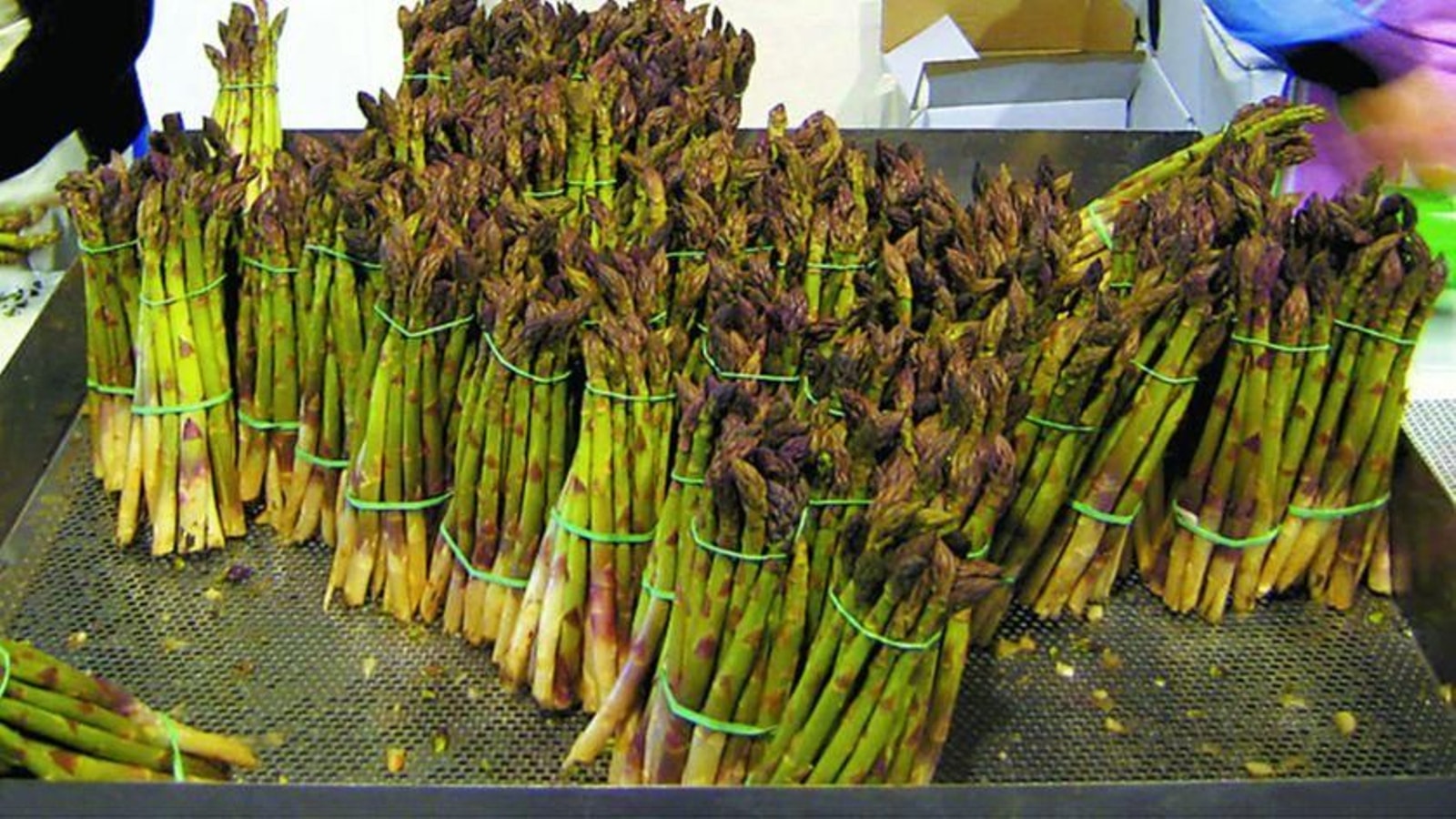 8fee25c3 72bc 45bb A365 5fa183352763 Source Aspect Ratio 1600w 0