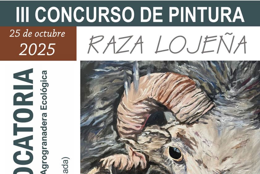 Base Concurso Pinturared