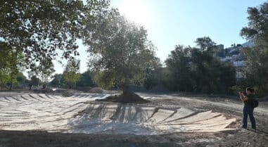 Proyecto Paseo Genil2red