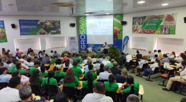 Oveja Lojeña Colombia