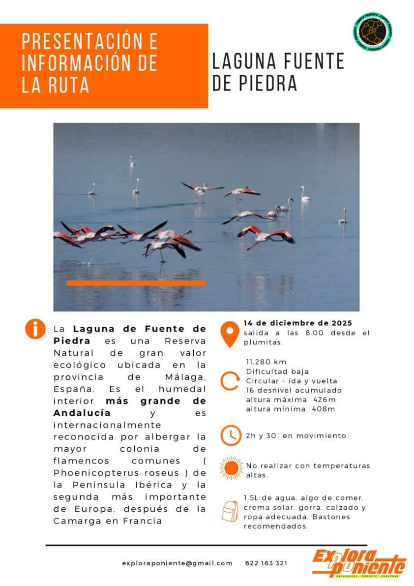 583002752 1439378991525079 3810745263861126454 N