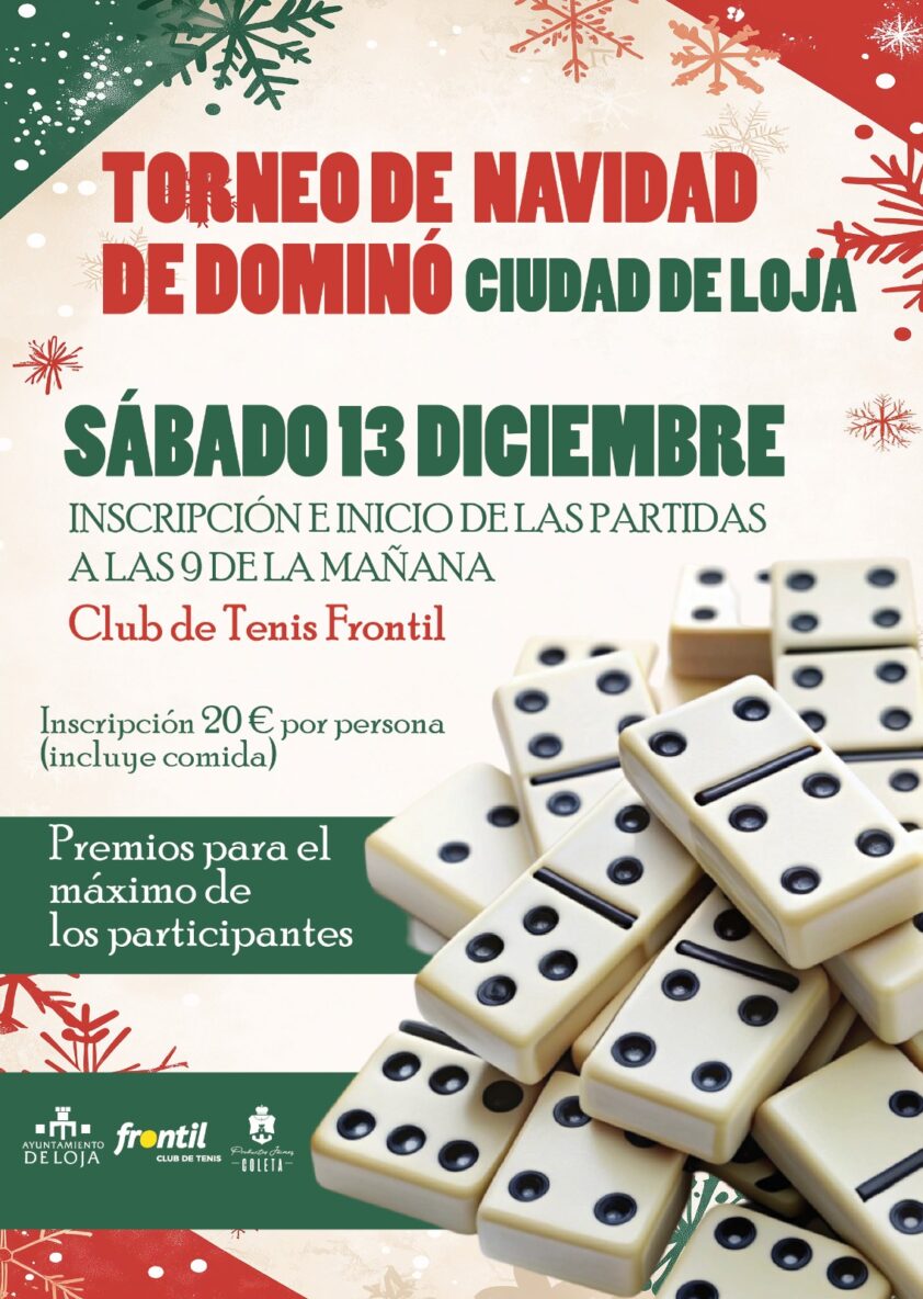 Torneo Navidad DominÓ