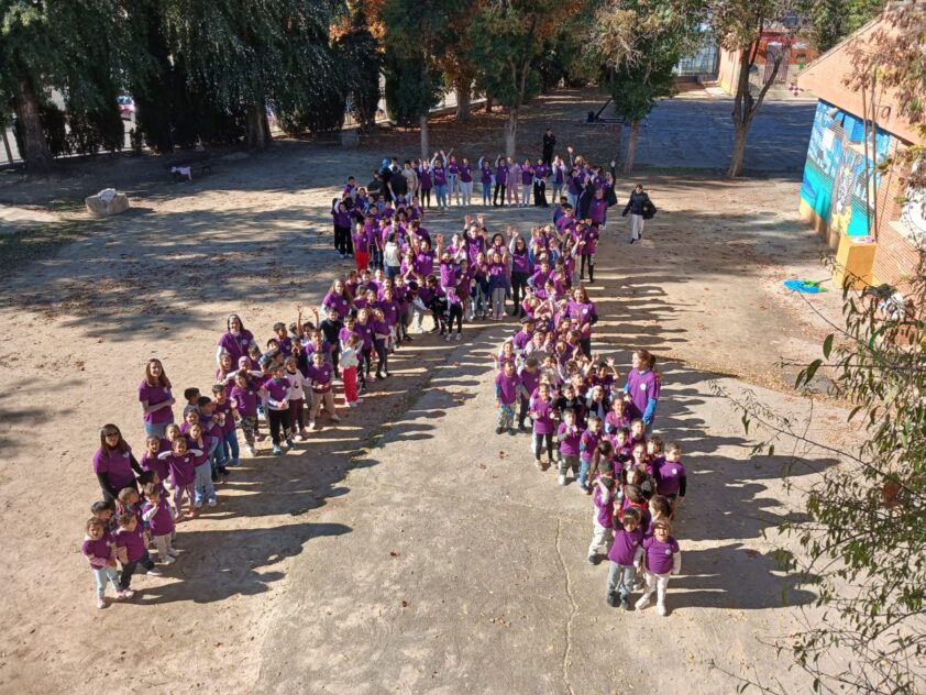 Whatsapp Image 2025 11 26 At 13.15.05