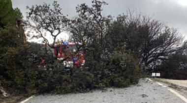 Photo 2026 01 28 08 18 00