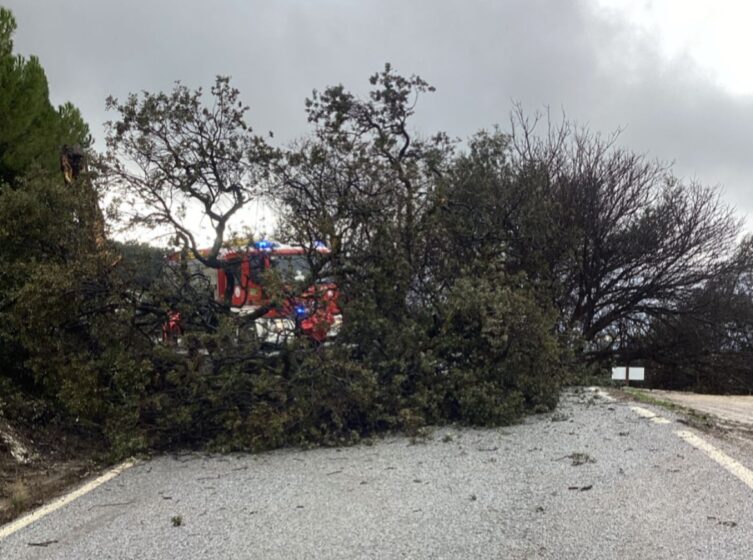 Photo 2026 01 28 08 18 00