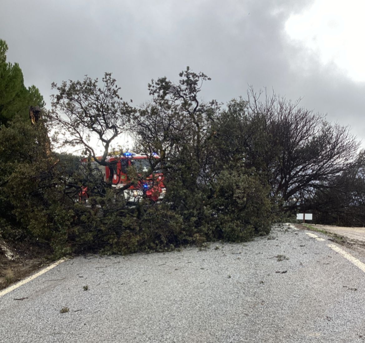 Photo 2026 01 28 08 18 00