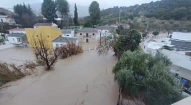 2000bedb 78fc 4a0a Ac5d C36613471565