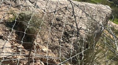 641569304 1321899166644935 6370423897030842848 N