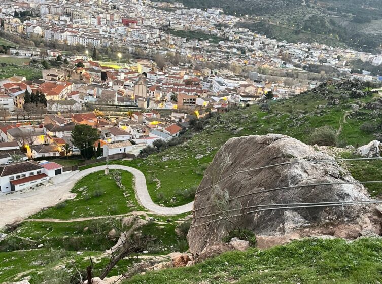 Photo 2026 02 19 08 18 28 (1)