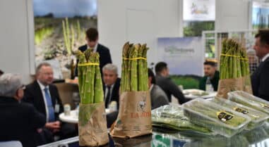 Gallombares Fruit Logistica