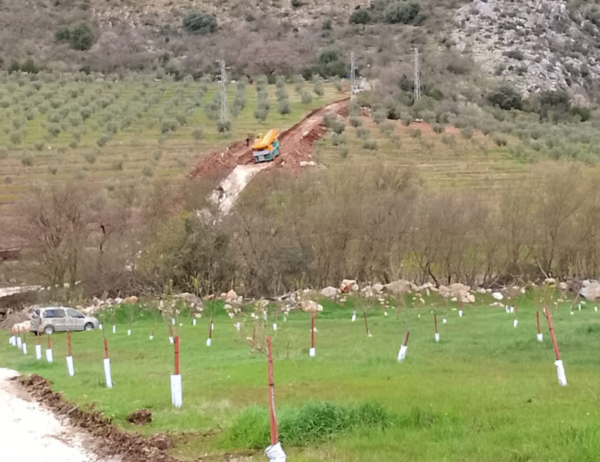 Whatsapp Image 2026 03 11 At 12.13.12 (3)red