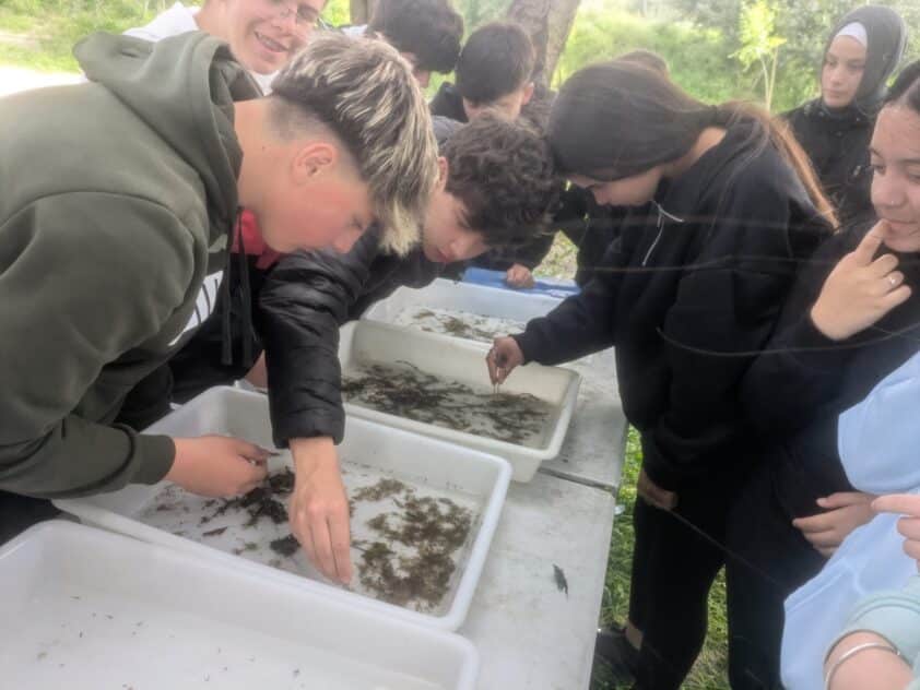 Whatsapp Image 2026 04 23 At 12.33.51(2)