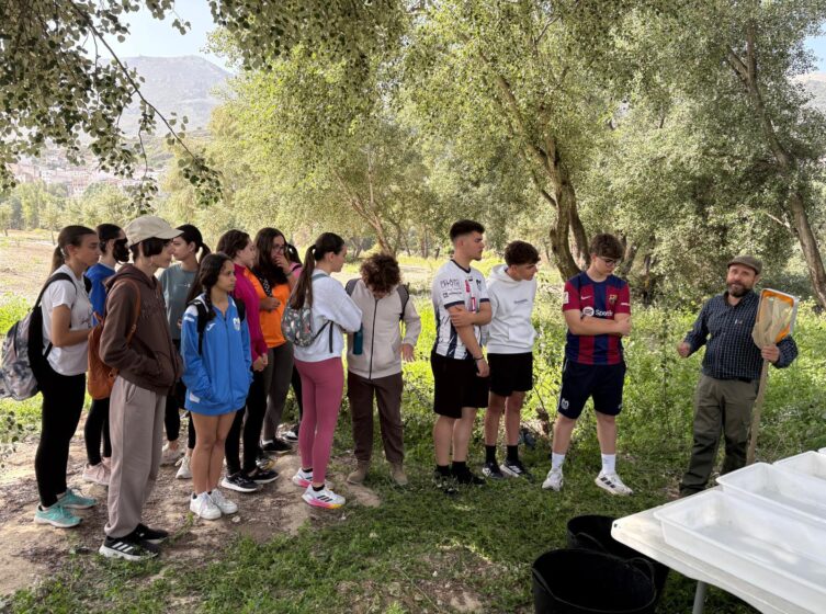 Whatsapp Image 2026 04 23 At 12.49.44(2)