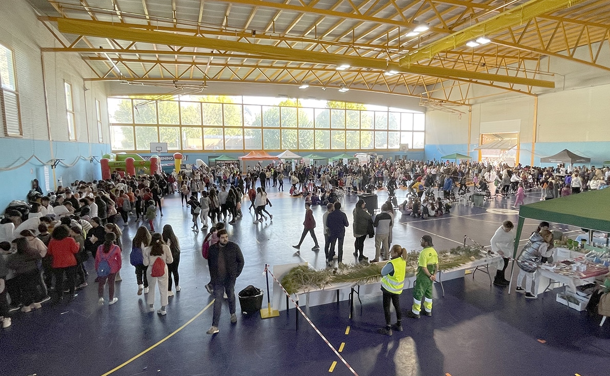Feria Salud
