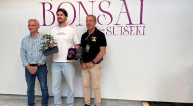 Campeon Andaluz Bonsai