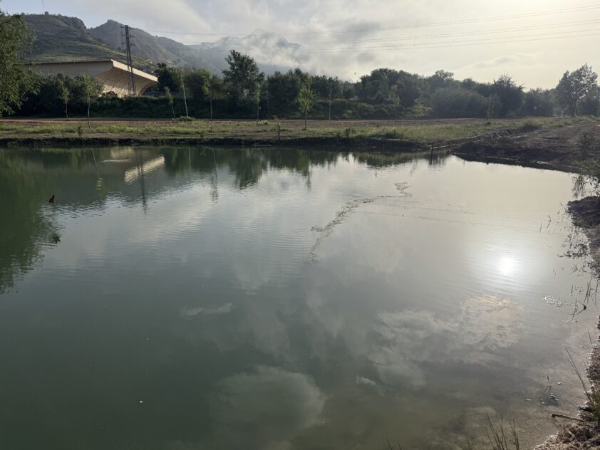 Image00040