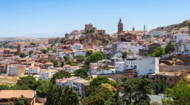 0 Freepik Loja Panoramica
