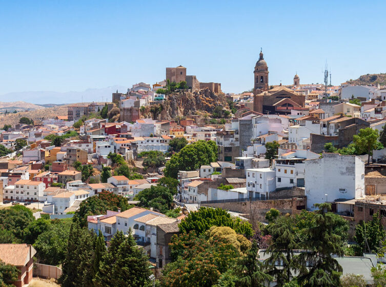 0 Freepik Loja Panoramica