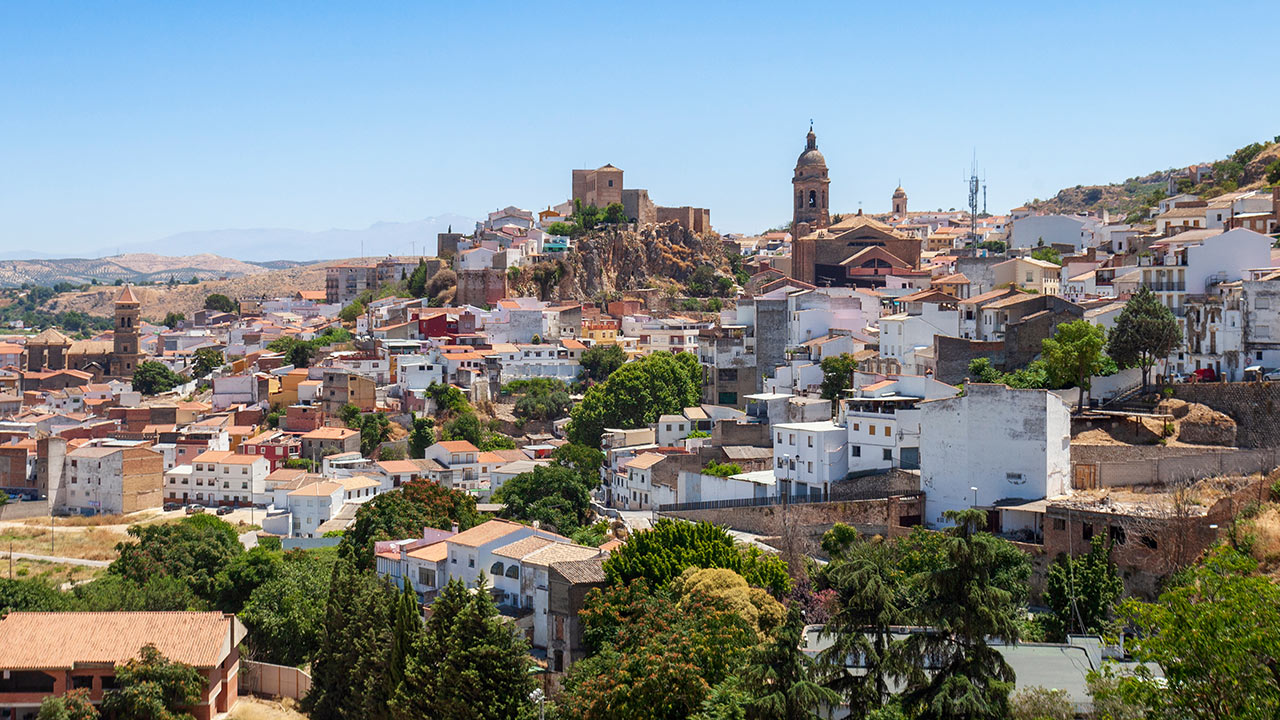 0 Freepik Loja Panoramica