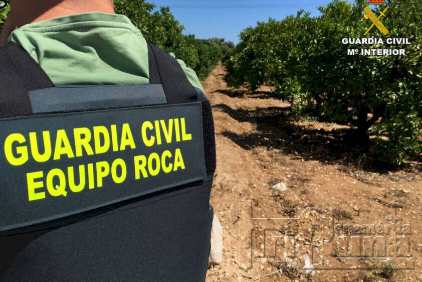 Equipo Roca Marca De Agua