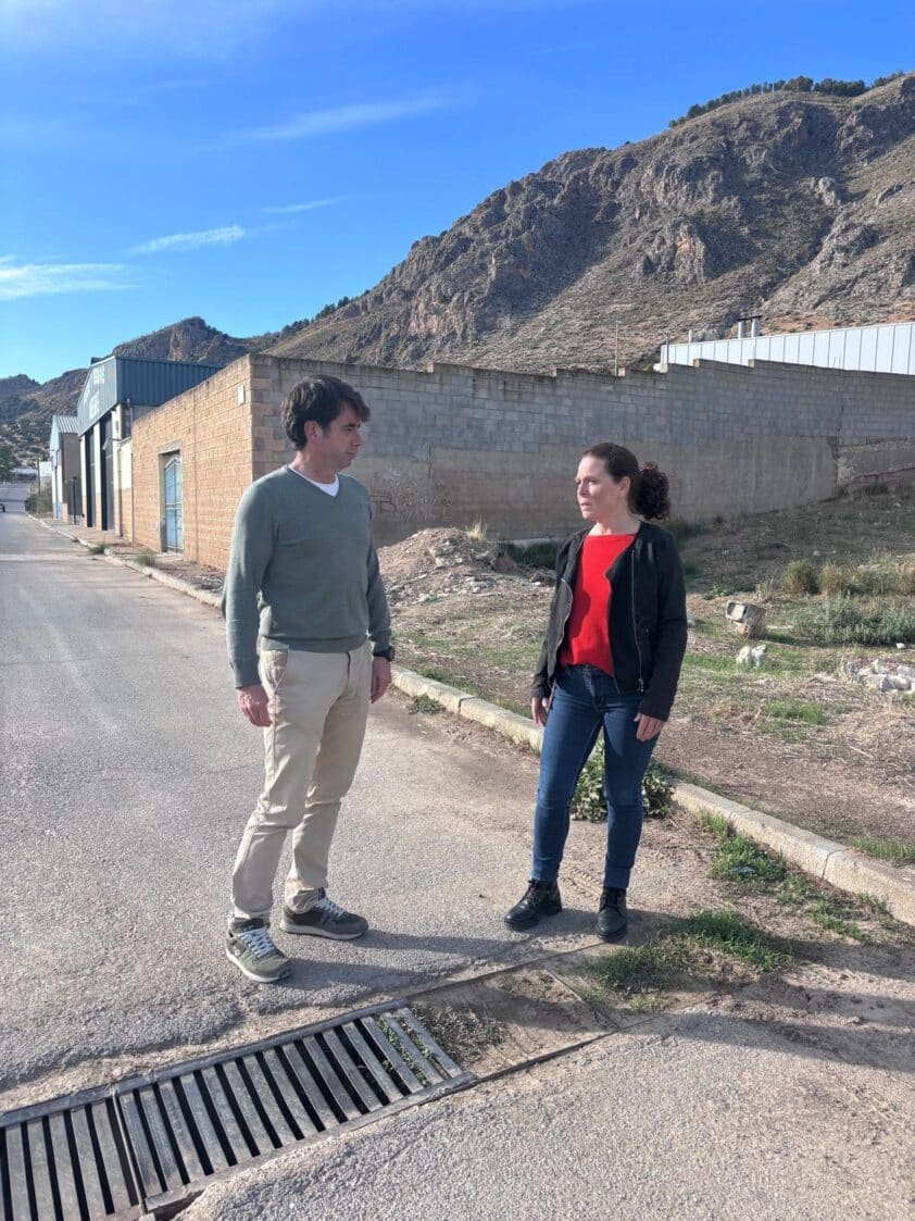 Psoe PolÍgono El Frontil